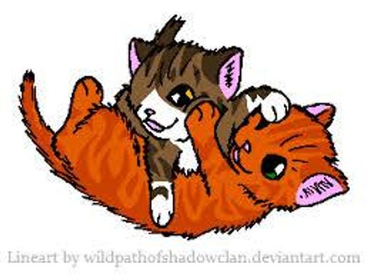 Leafpool or Squirrelflight?