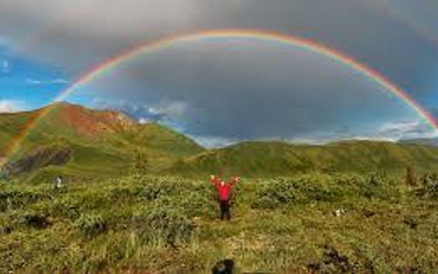 Which rainbow(multicolored) dress do you like the best?