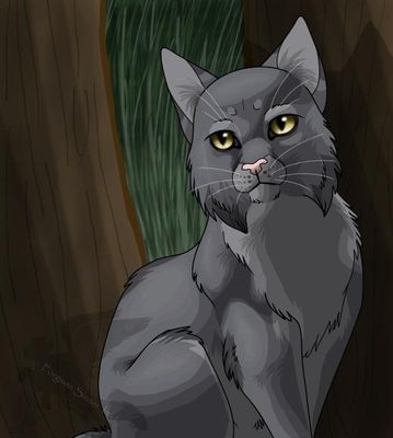 What is your favorite warrior cat?