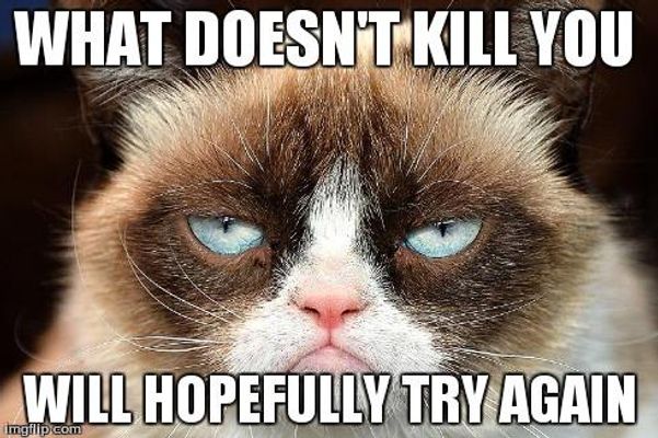 What grumpy cat meme makes you laugh more?