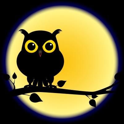 Are you a night owl?