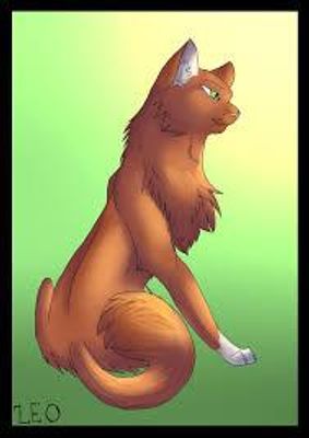 What do you think of Squirrelflight?