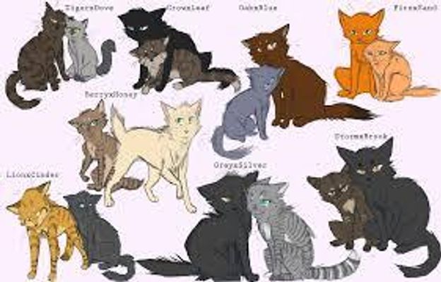 Favorite warrior cat couple?