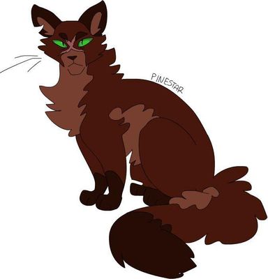 Warrior cats mapleshade or pinestar