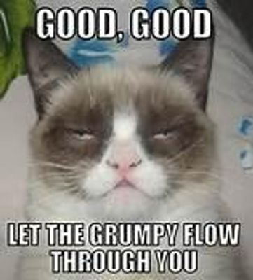 Grumpy Cat