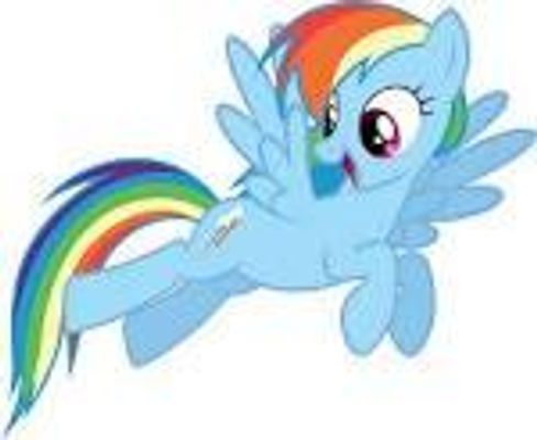 What Rainbow Dash?