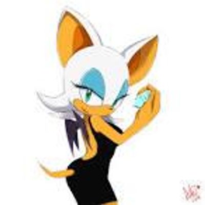 Who do you ship with Rouge?