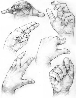 Which is Your Dominant Hand?