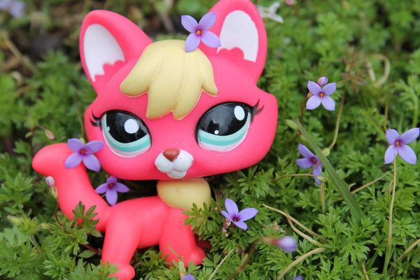 Which Lps Looks Cuter?