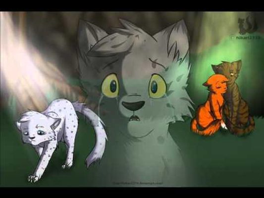 If you where squirrelflight who would you choose?