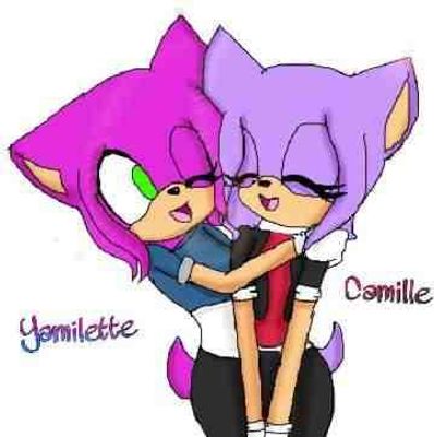 Whose Better Camille The Hedgehog Or Yamilette The Hedgehog You Decide