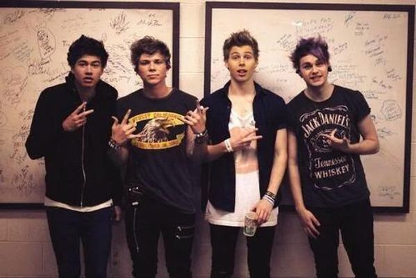 Who is your favourite member of 5 Seconds of Summer?