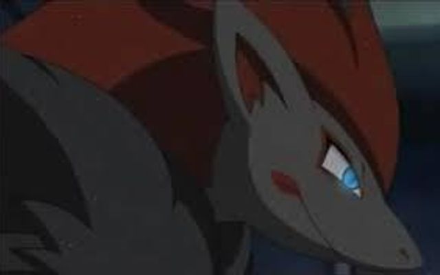 How much do you love Zoroark?