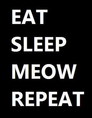 Eat Sleep Meow Repeat