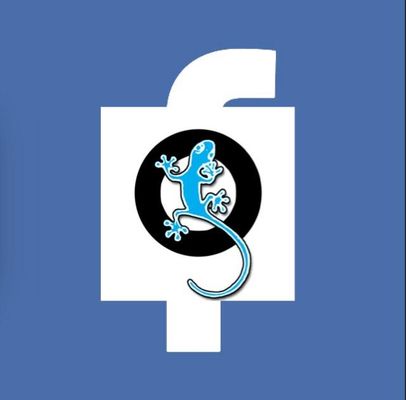 Qfeast or Facebook?