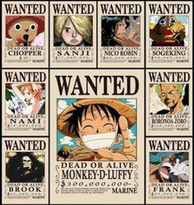 Which Straw Hat Pirate is you favorite?