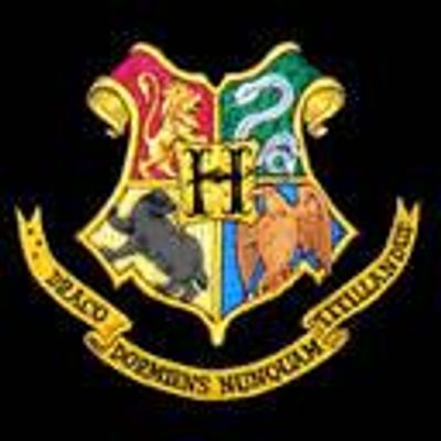 Muggle studdies O.W.L's