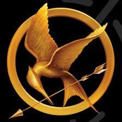 Which Hunger Games Character are you?