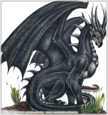 A dragon Quiz