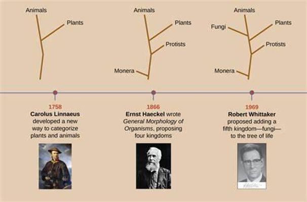 Test Your Knowledge on Evolution