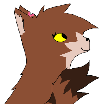 Warrior Cats (2)