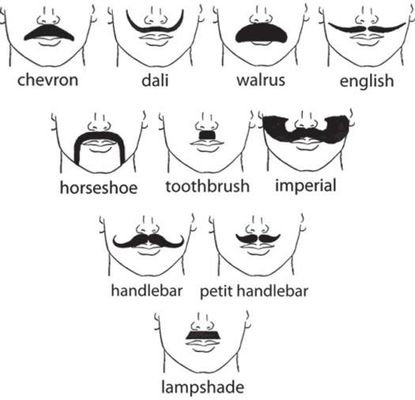 What type of mustache is your type?