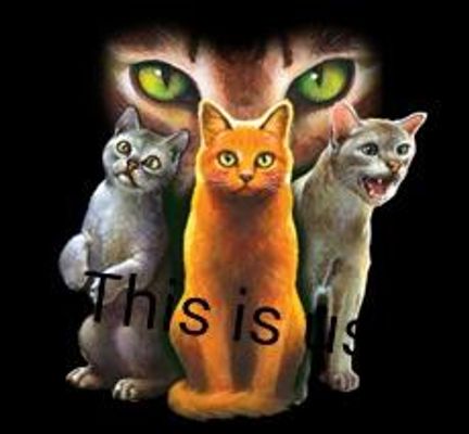 What Warrior Cats Clan Are You In? (3)