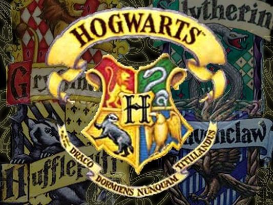 What Hogwarts house would YOU be in? (1)