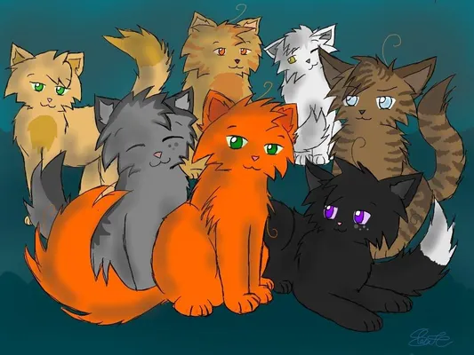 what is your warrior cat rate? (short results) what is your warrior cat rate? (short results)