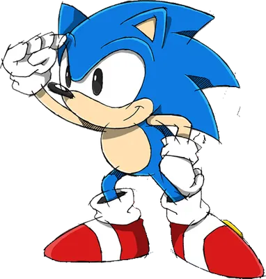 A Sonic WWFFY Part 5 (Sonic edition) A Sonic WWFFY Part 5 (Sonic edition)