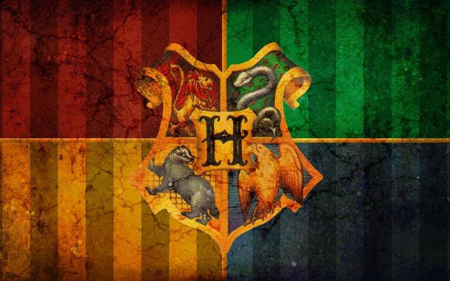 What is your Hogwarts life?