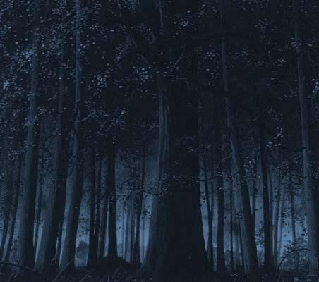 Midnight Forest Personality Quiz (1)