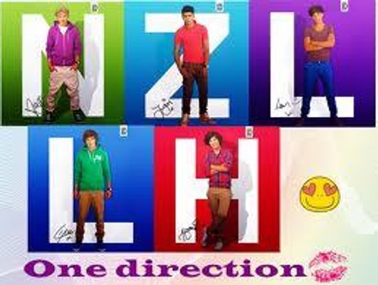 r u a ture directioner