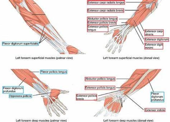 Peripheral Devices Quiz (1)