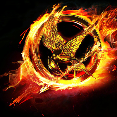 How well do you know the Hunger Games? (8)