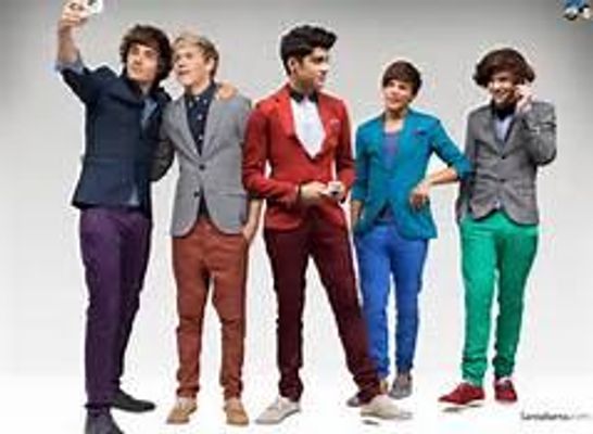 One Direction Quiz (8)