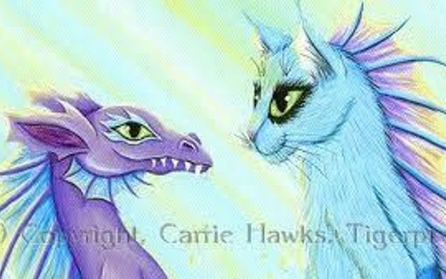 ARE YOU A CAT, DOG OR DRAGON?