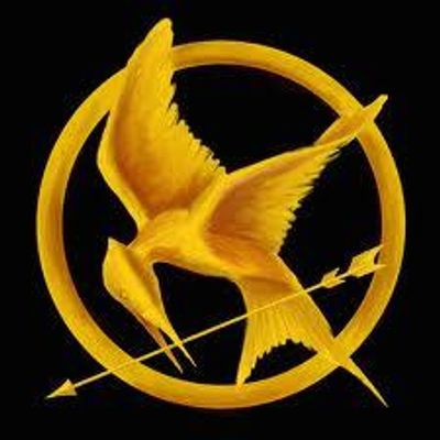 Are you a Hunger Games superfan??