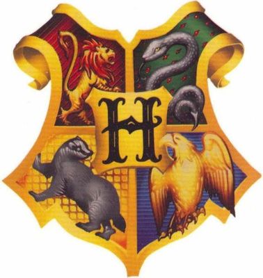 Your life at Hogwarts-Sorting & meeting friends