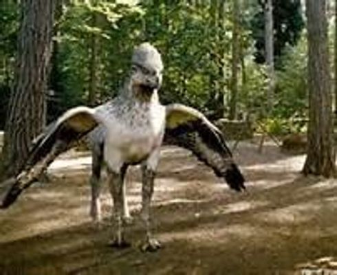 what color hippogriff are you?