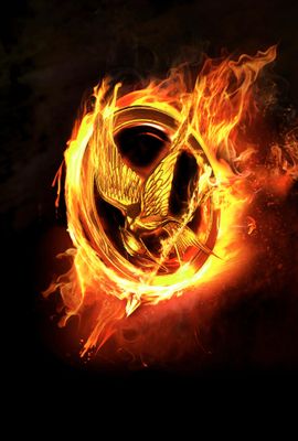 are you a true hunger games fan? (1)