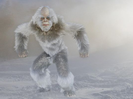 Which Yeti Are You?