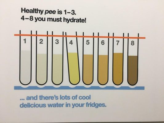 How Well Do You Hydrate?