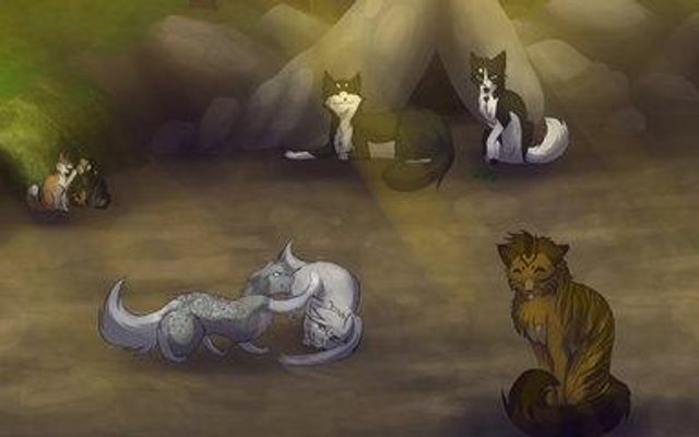 What Warrior cat OC of mine are you?