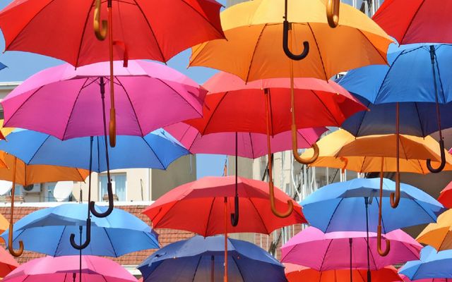 which umbrella are you?