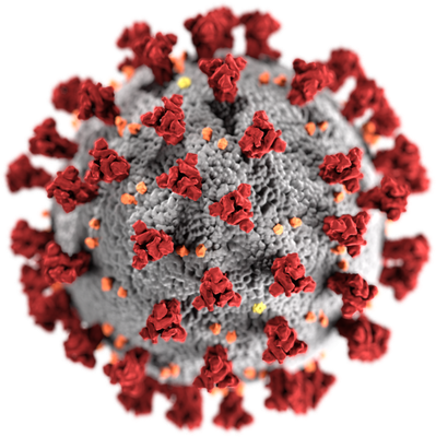 Corona Viruses COVID-19 Check