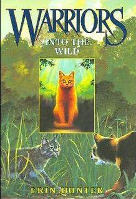 Where would you go after you died as a warrior cat?