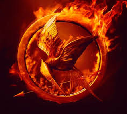 Would you survive the Hunger Games? (2)