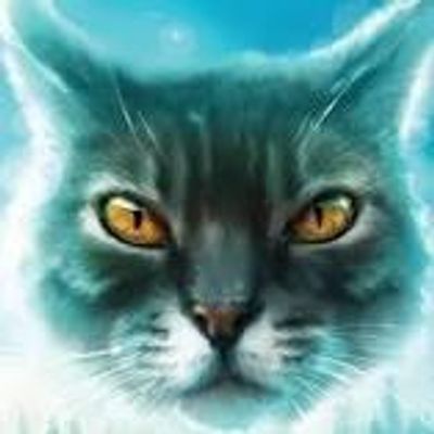 Extreme insane Warrior Cats quiz