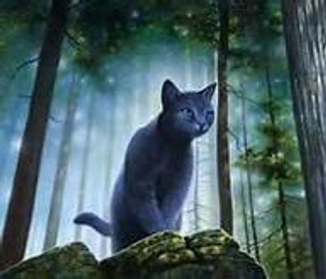 Warrior cat quiz (2)